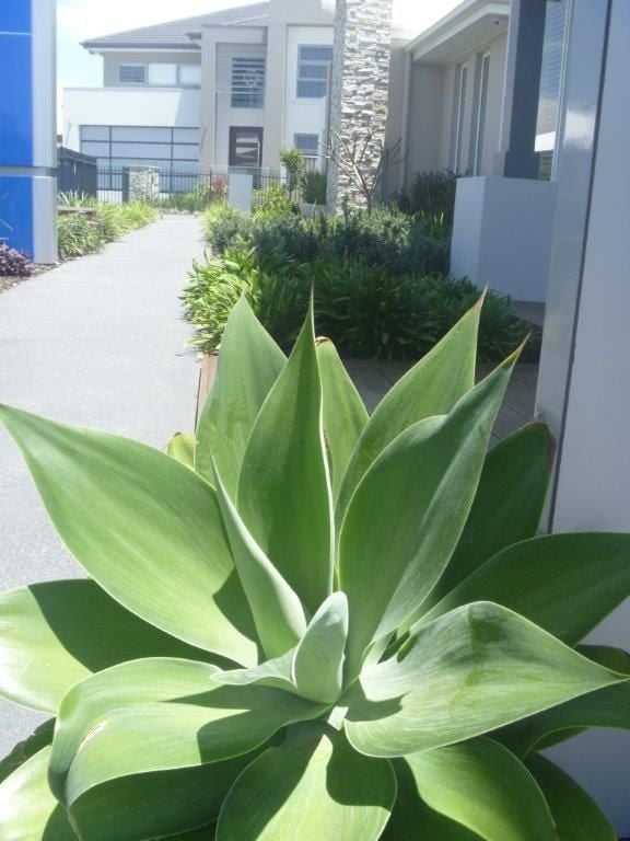 McDonald Jones Display Homes South Coast Image -56afdfb106db8